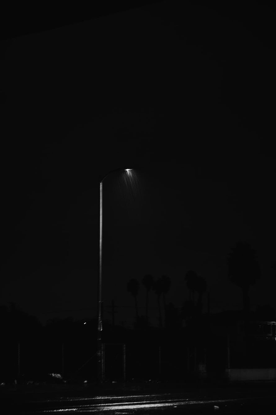 Moody Black and White Streetlight Illuminating a Rainy Night Scene with Silhouetted Palm Trees HD phone wallpaper