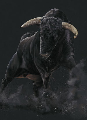 Fierce Black Bull with Curved Horns Charging Through Dust HD phone wallpaper