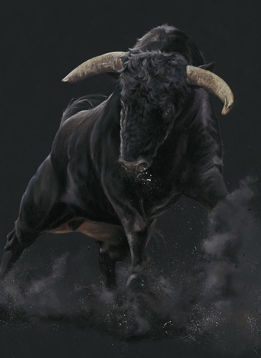 Fierce Black Bull with Curved Horns Charging Through Dust HD phone wallpaper