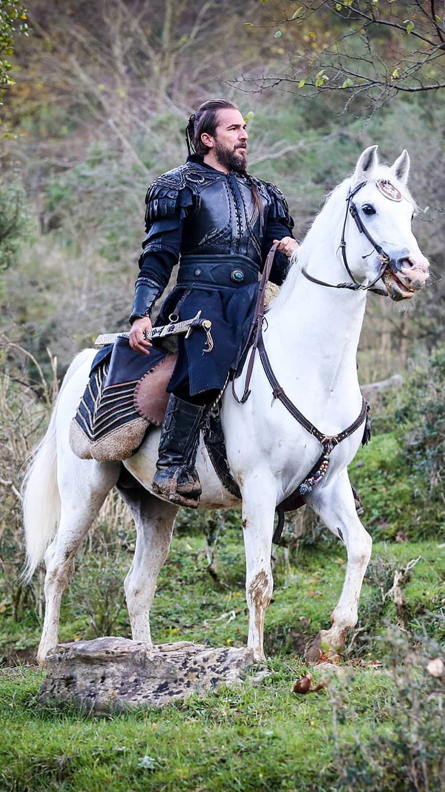 Medieval Knight in Black Armor Riding a White Horse Through Forest HD phone wallpaper
