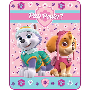Paw Patrol Pup Power featuring Everest and Skye in colorful 3D animated style HD phone wallpaper