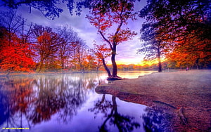 Vibrant Autumn Lake Sunset with Red Trees and Misty Reflections HD wallpaper
