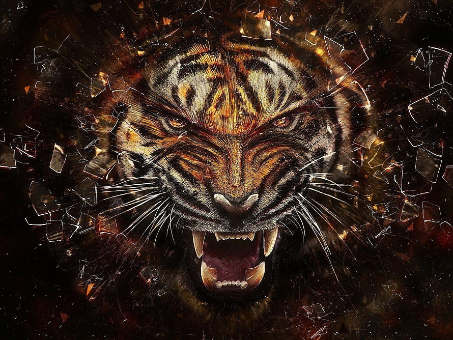 Fierce Roaring Tiger Head with Shattered Glass Effect and Dark Fiery Background HD wallpaper