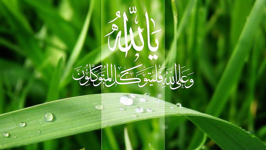Islamic Calligraphy on Green Grass with Dew Drops HD wallpaper