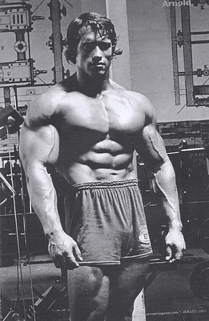 Arnold Schwarzenegger Classic Black and White Bodybuilding Pose HD phone wallpaper