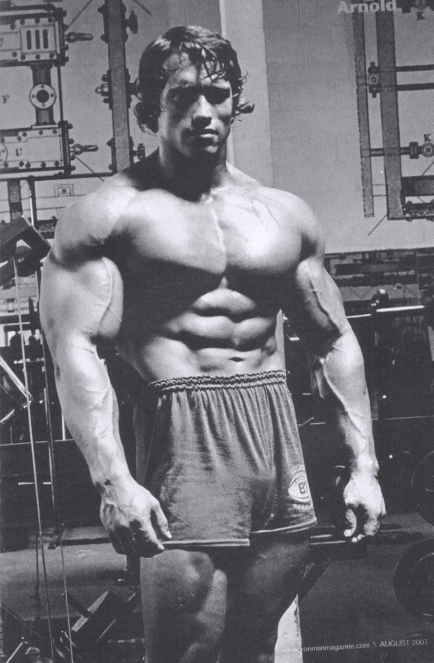 Arnold Schwarzenegger Classic Black and White Bodybuilding Pose HD phone wallpaper