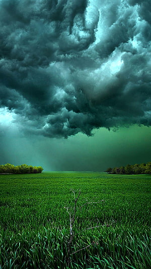 Dramatic Storm Clouds Over Green Field HD phone wallpaper