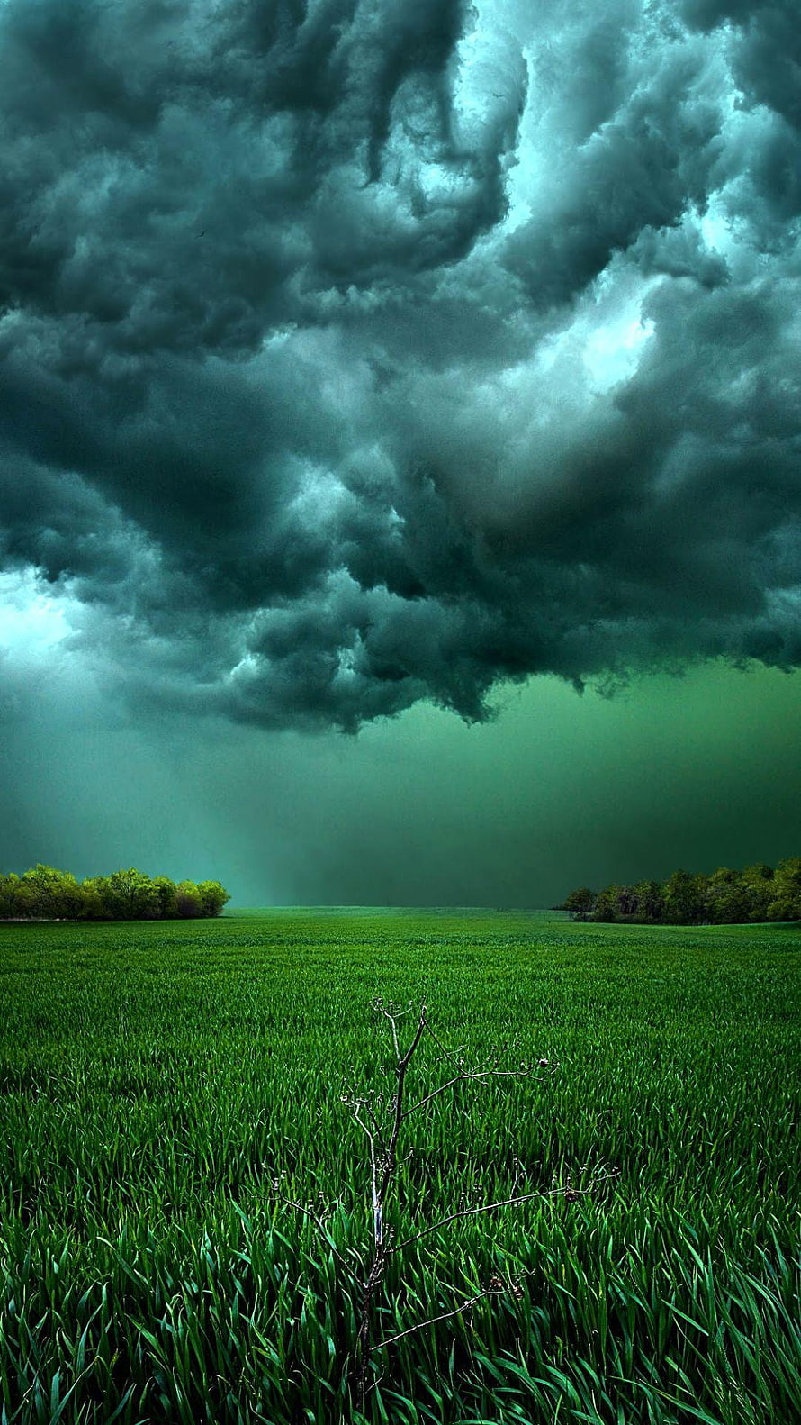 Dramatic Storm Clouds Over Green Field HD phone wallpaper