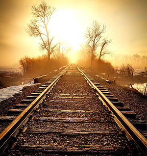 Golden Sunrise Over Misty Railway Tracks With Bare Trees And Snow HD phone wallpaper