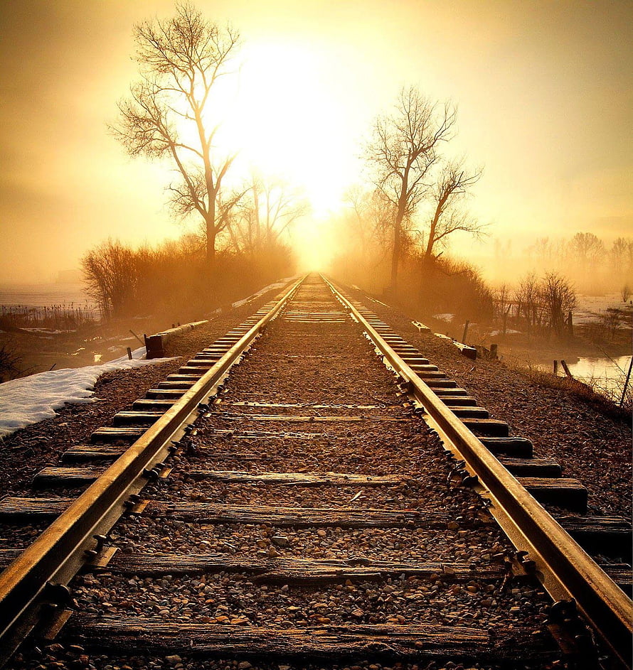 Golden Sunrise Over Misty Railway Tracks With Bare Trees And Snow HD phone wallpaper
