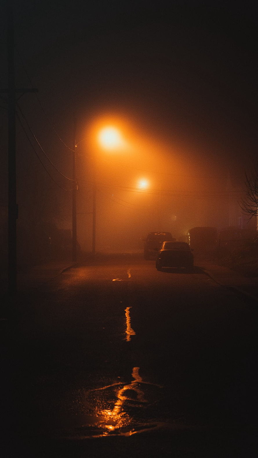 Atmospheric Night Street Scene With Foggy Orange Streetlights And Wet Road Reflections HD phone wallpaper