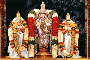 Lord Venkateswara Temple Deity Adorned With Gold Jewelry And Flower Garlands HD wallpaper