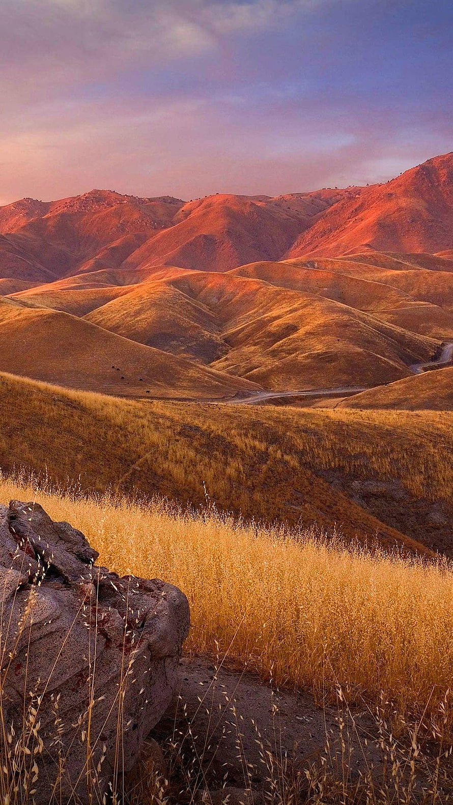 Golden rolling hills at sunset with dry grass and distant mountains HD phone wallpaper