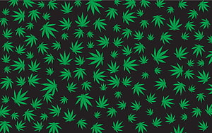 Green Cannabis Leaf Pattern on Black Background HD wallpaper