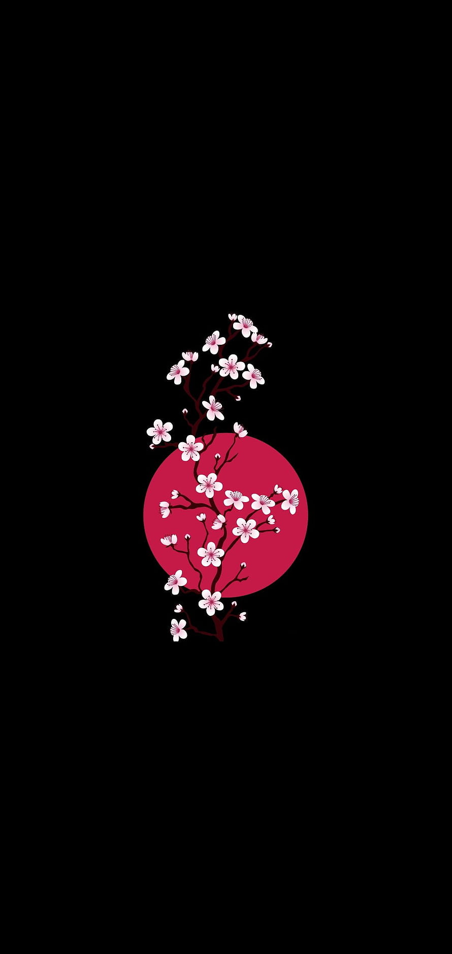 Minimalist Cherry Blossom Branches Against Red Circle on Black Background HD phone wallpaper