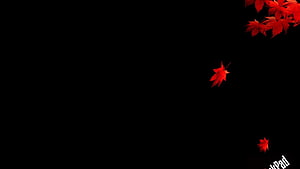 Vibrant Red Maple Leaves Drifting Against a Deep Black Background HD wallpaper