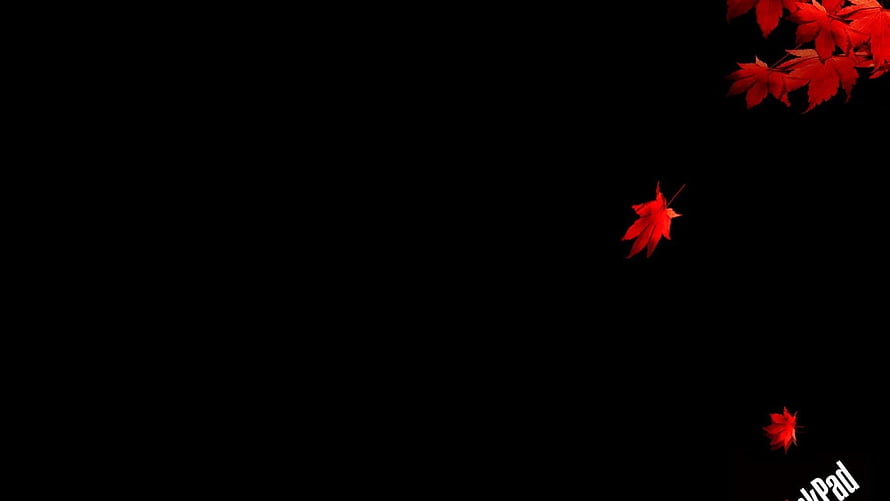Vibrant Red Maple Leaves Drifting Against a Deep Black Background HD wallpaper