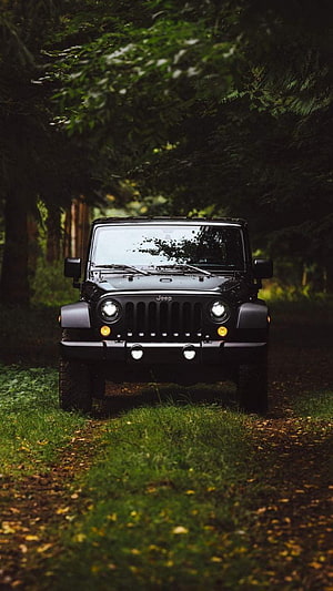 Black Jeep Wrangler Off-Road Adventure in Forest HD phone wallpaper