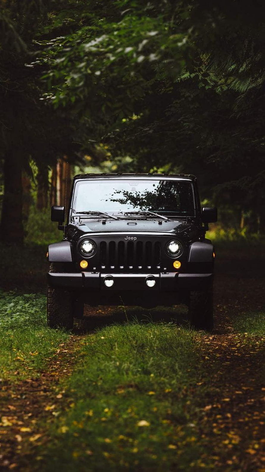 Black Jeep Wrangler Off-Road Adventure in Forest HD phone wallpaper