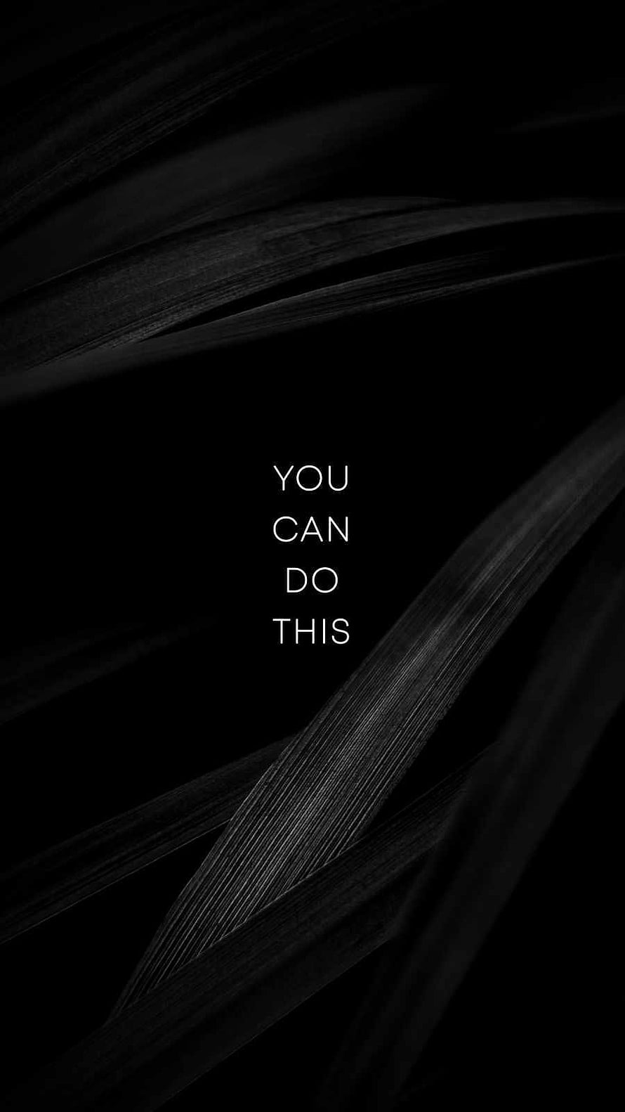 Motivational Quote on Dark Botanical Background with Black Leaves HD phone wallpaper