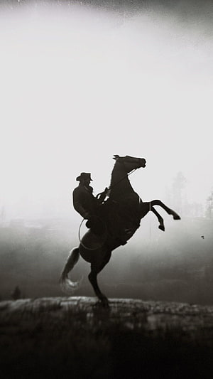 Red Dead Redemption 2 Silhouette of a Cowboy on a Rearing Horse in Misty Dawn Light HD phone wallpaper