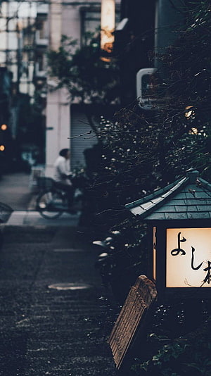 Atmospheric Japanese Street Scene With Glowing Lantern And Blurred Cyclist HD phone wallpaper
