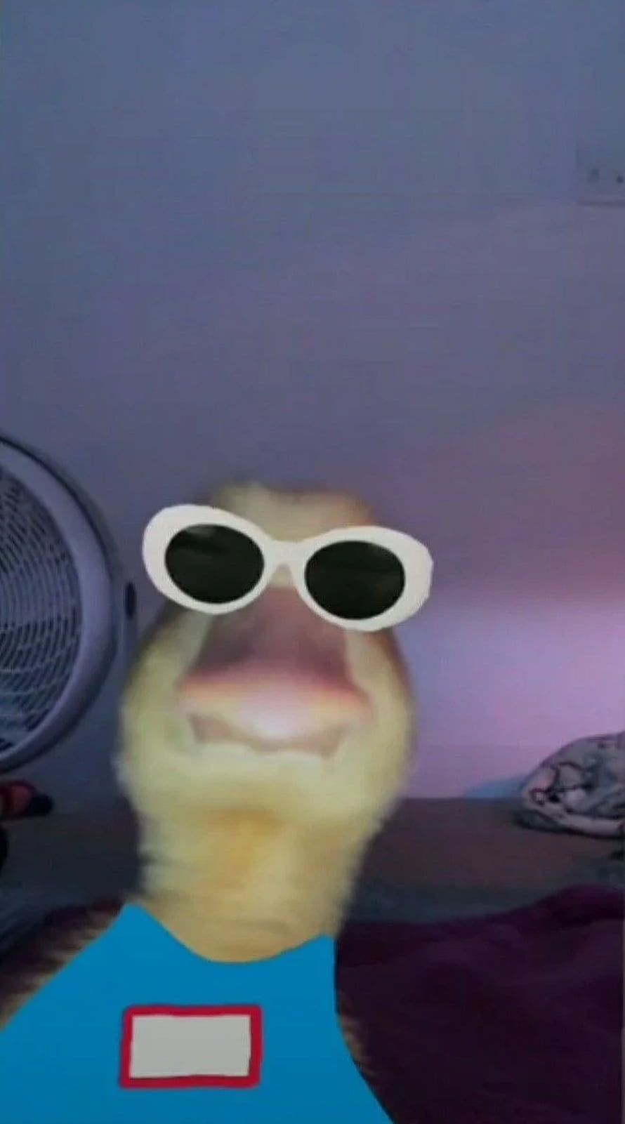 Funny Goose Wearing White Sunglasses and Blue Shirt Meme Wallpaper HD phone wallpaper