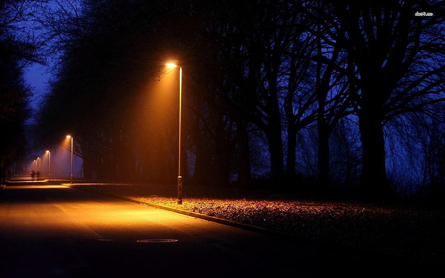 Atmospheric Night Street Scene With Glowing Orange Streetlights And Dark Silhouetted Trees HD wallpaper