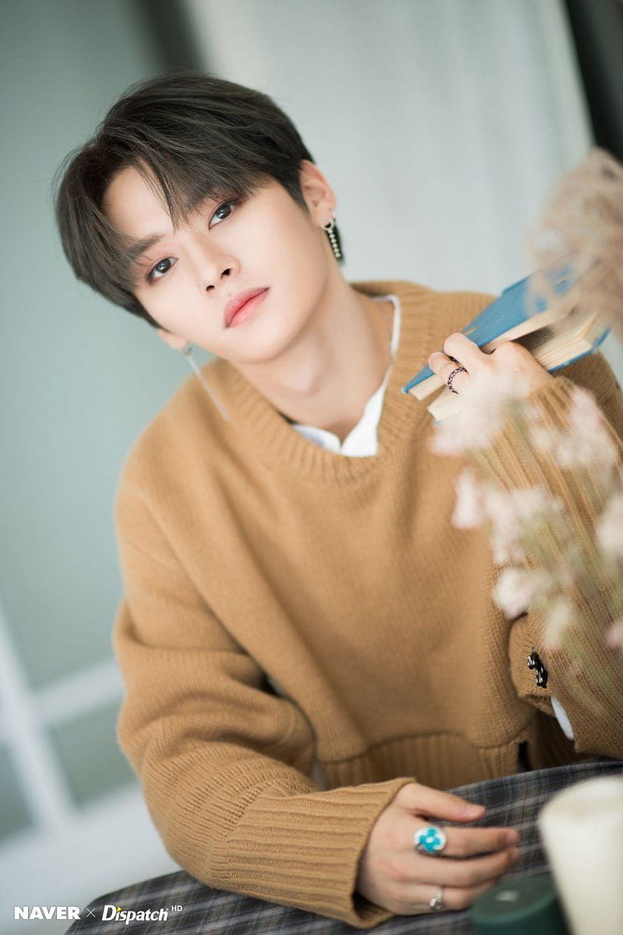Stray Kids Lee Know in a cozy tan sweater holding a book with soft floral accents HD phone wallpaper