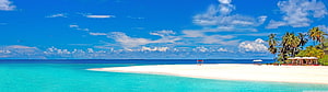 Tropical White Sand Beach with Turquoise Ocean and Palm Trees HD wallpaper