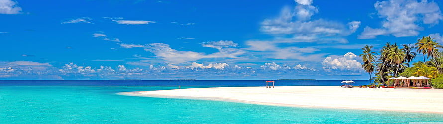 Tropical White Sand Beach with Turquoise Ocean and Palm Trees HD wallpaper