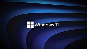 Windows 11 Default Blue Abstract Wallpaper with Flowing Curves and Logo HD wallpaper