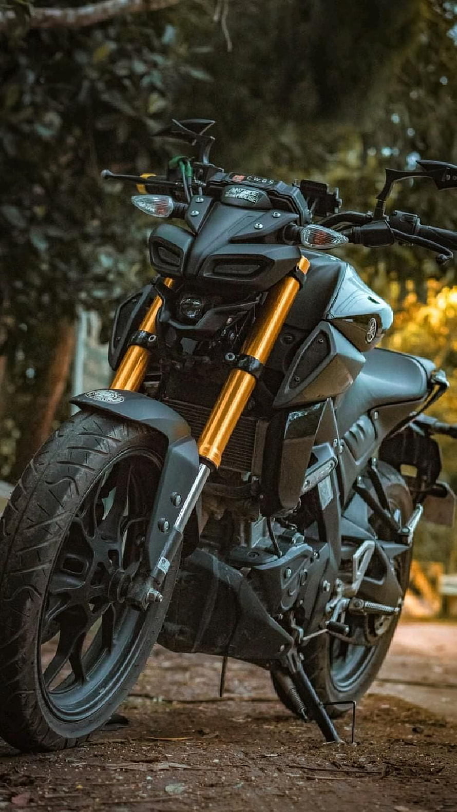 Yamaha MT-09 Naked Motorcycle with Gold Forks in Forest Setting HD phone wallpaper