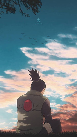 Shikamaru Nara sitting on grass watching sunset sky with clouds and birds HD phone wallpaper