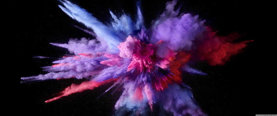 Vibrant Multicolor Powder Explosion Bursting Against Black Background HD wallpaper