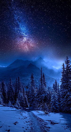 Milky Way Galaxy Over Snowy Pine Forest and Mountain Peaks at Night HD phone wallpaper