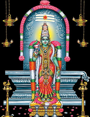 Goddess Meenakshi Amman Temple Deity Portrait with Oil Lamps and Floral Garland, Goddess Madurai Meenakshi Amman &, lord amman HD phone wallpaper