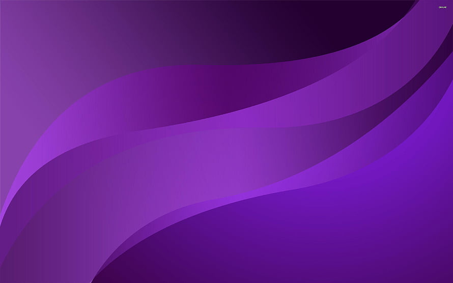 Elegant Purple Abstract Waves with Smooth Curved Lines and Gradient Background HD wallpaper