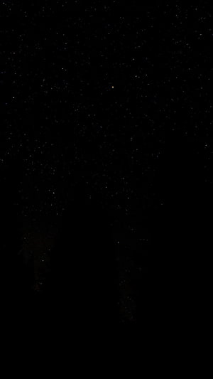 Starry Night Sky Over Dark Forest Silhouette Desktop Wallpaper HD phone wallpaper