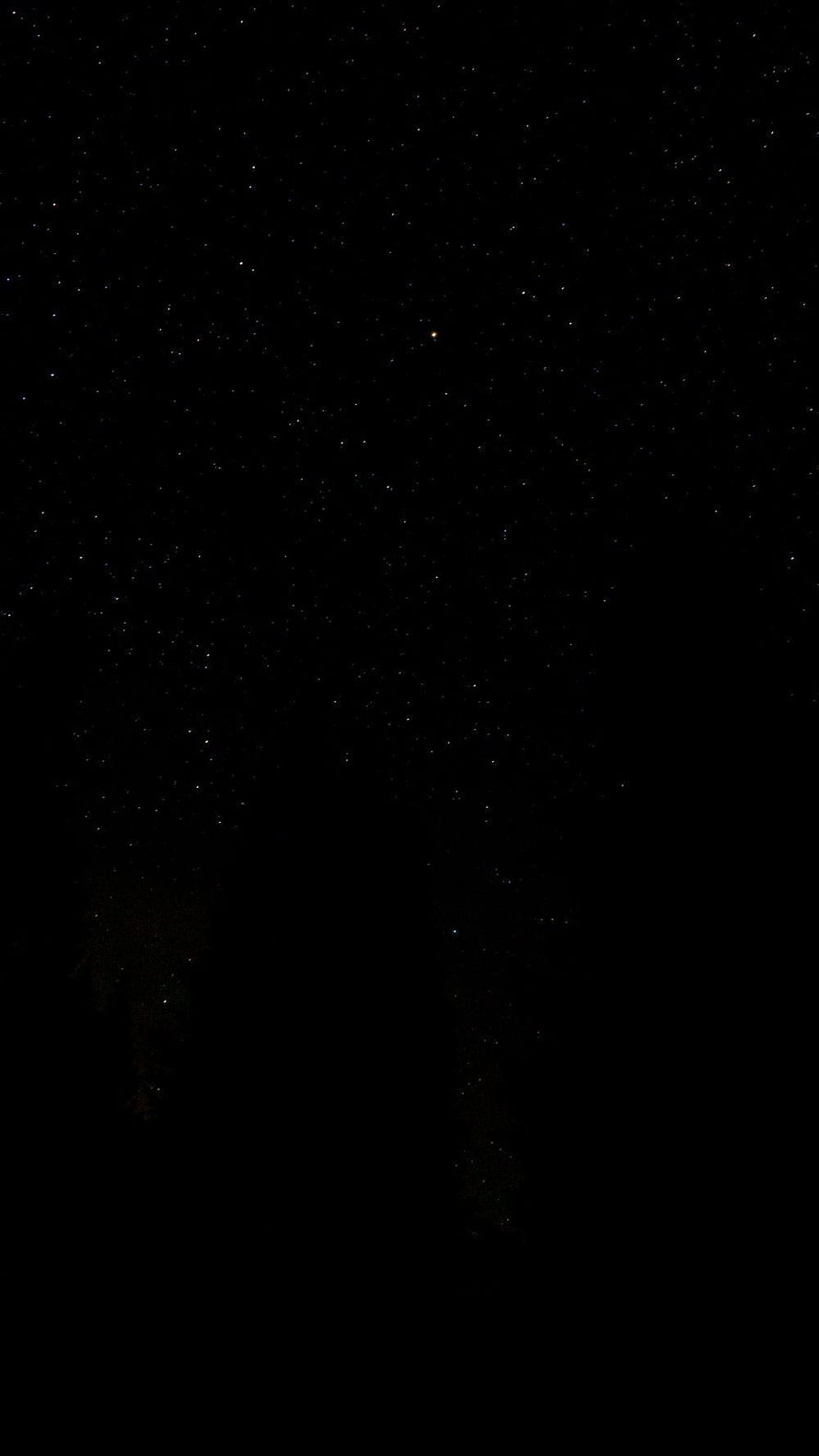 Starry Night Sky Over Dark Forest Silhouette Desktop Wallpaper HD phone wallpaper