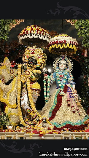 Floral Decorated Krishna and Radha Deities at Mayapur ISKCON Temple HD phone wallpaper