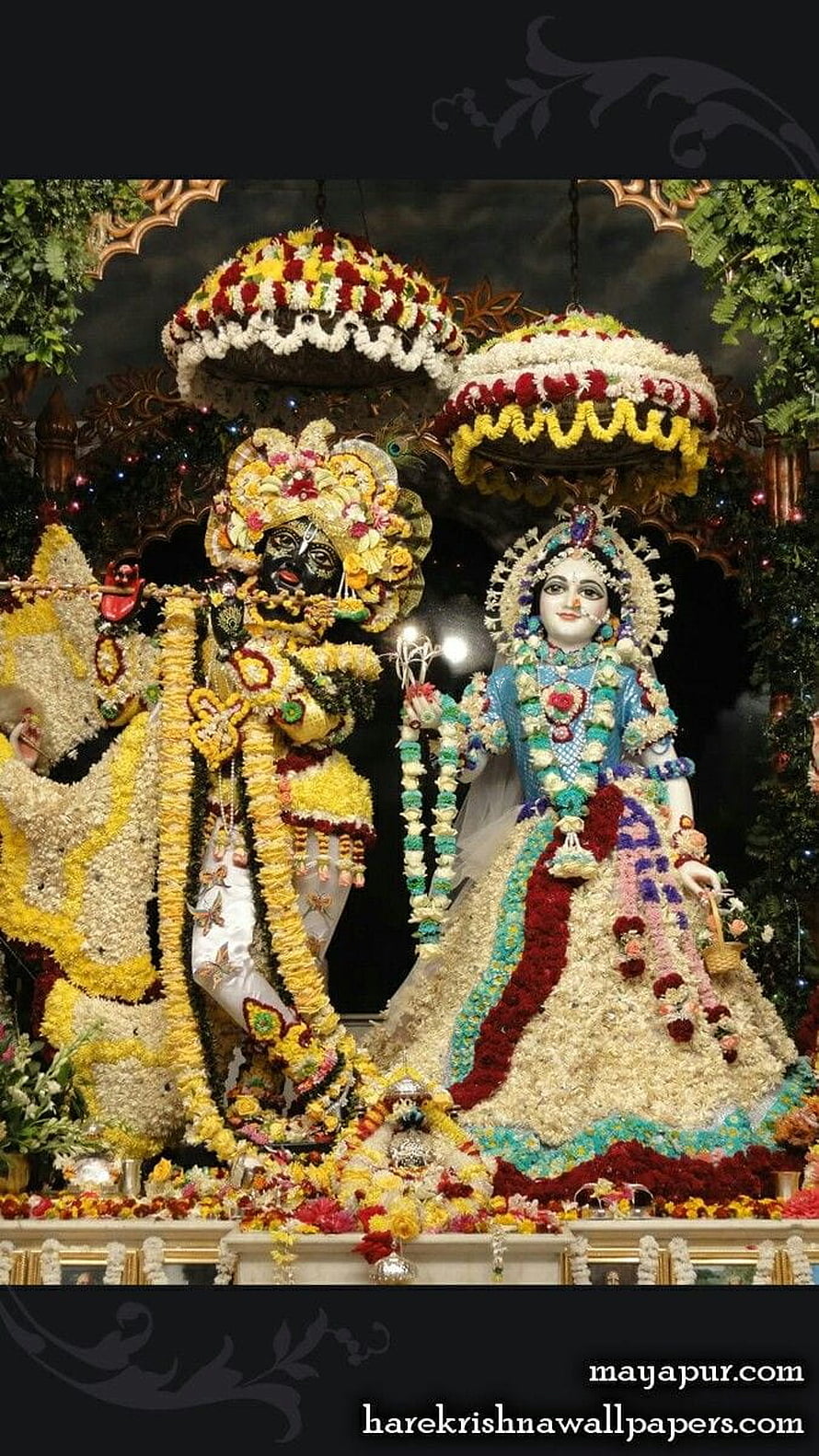 Floral Decorated Krishna and Radha Deities at Mayapur ISKCON Temple HD phone wallpaper