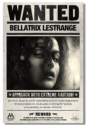 Bellatrix Lestrange Wanted Poster from the Harry Potter Ministry of Magic HD phone wallpaper