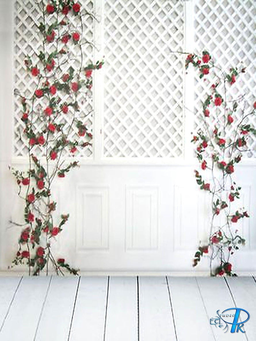 White Lattice Wall with Climbing Red Roses and Wooden Floor Studio Backdrop HD phone wallpaper