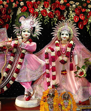 Radha Krishna idols adorned in pink silk and floral garlands for Durga Puja celebration HD phone wallpaper