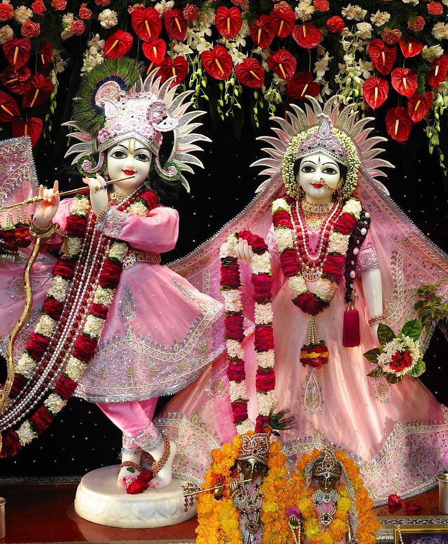 Radha Krishna idols adorned in pink silk and floral garlands for Durga Puja celebration HD phone wallpaper