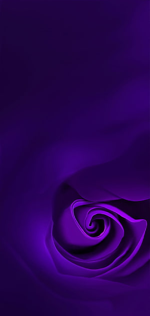 Deep Purple Rose Petal Spiral Abstract Minimalist Dark Floral Background HD phone wallpaper