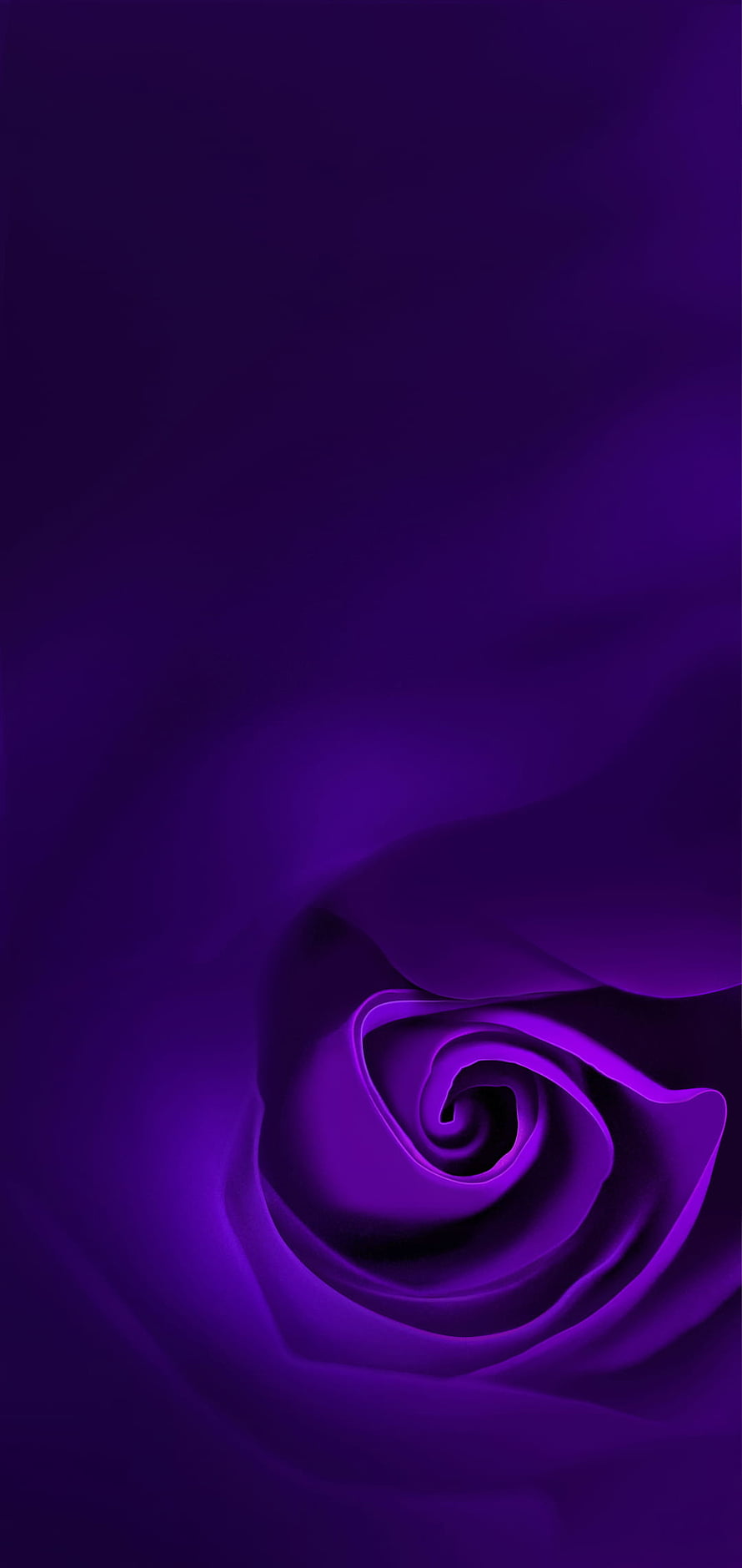 Deep Purple Rose Petal Spiral Abstract Minimalist Dark Floral Background HD phone wallpaper