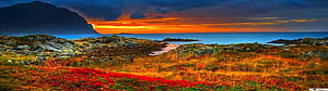 Dramatic Coastal Sunset Over Rocky Shoreline with Vibrant Autumn Foliage HD wallpaper