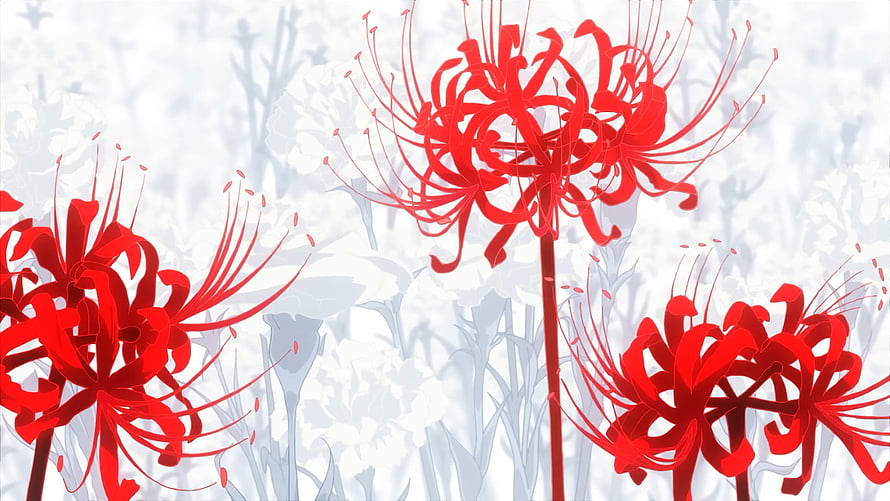 Vibrant Red Spider Lilies Against a Soft White Floral Background HD wallpaper